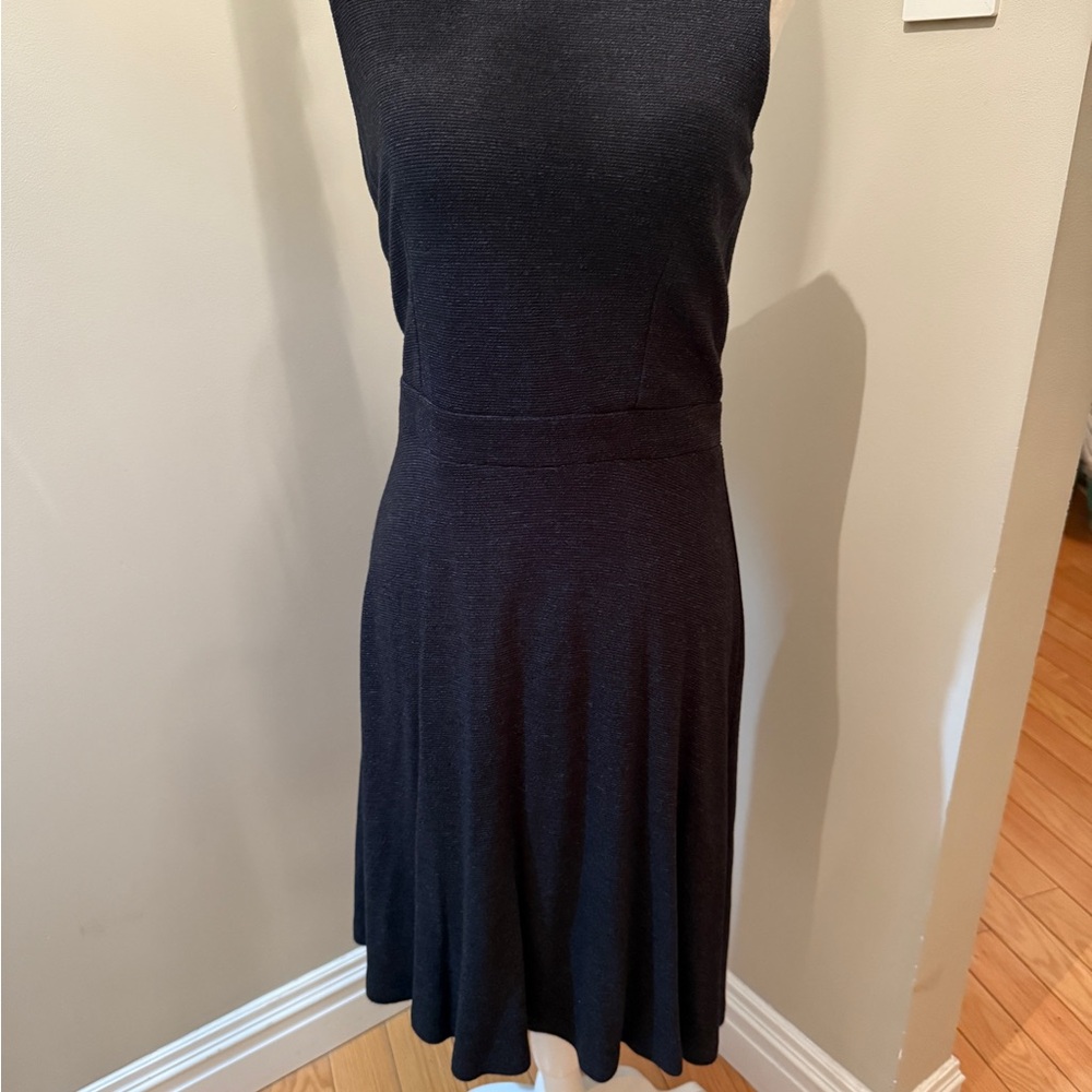 Elegant Sleeveless Dress